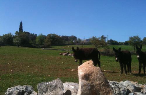 Agriturismo Teatro del grano - Foto 6