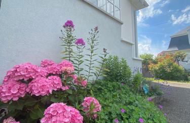 BookingAlsace - Maison Mittelharth Parking Jardin - Foto 43