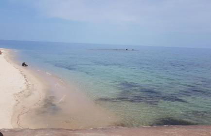 La Vigna For Family - Foto 43