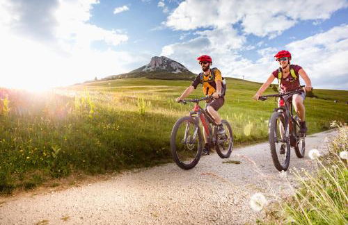 Sirena Carezza Apartments - Foto 43