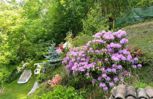 Ca'Capriolo - Foto 28