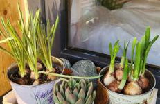 Gîte de charme Ò Chalet - Foto 7