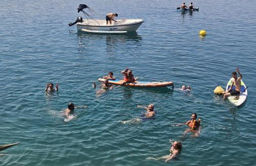 Apartmani Nikoletić - Photo 2