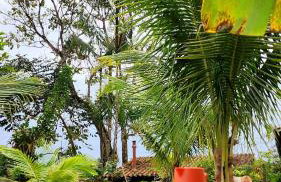 Espaço Casa Flora - Foto 24