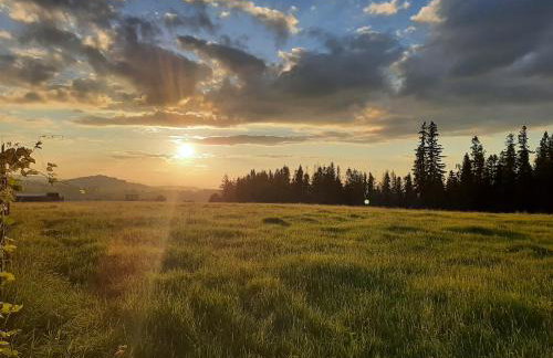 Domki Malcykówka z własnym Jacuzzi - w cenie - Foto 37