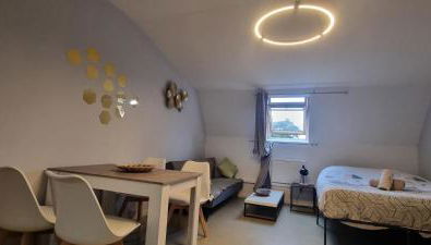 T1 rénové 29 m2 cosy confort ! - Foto 2