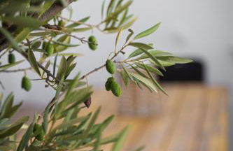 Calma Boutique House - Foto 14