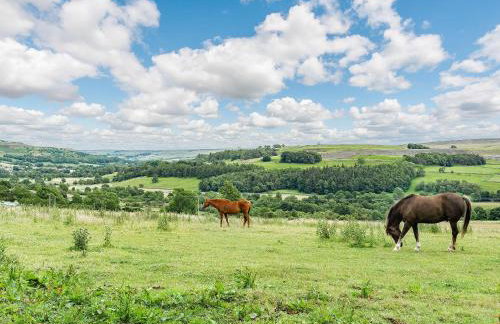The Stables - Photo 30