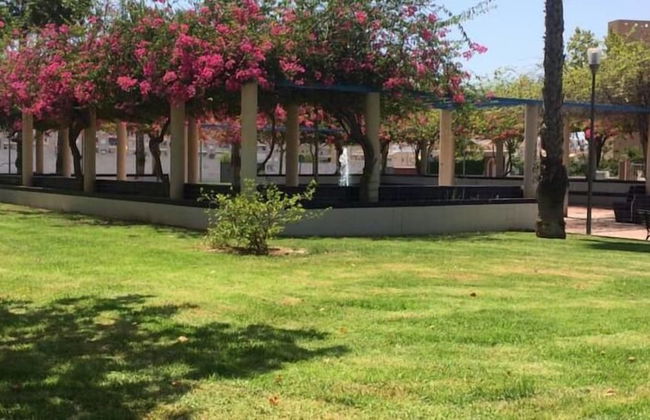 Apartamento San Pascual - Foto 27