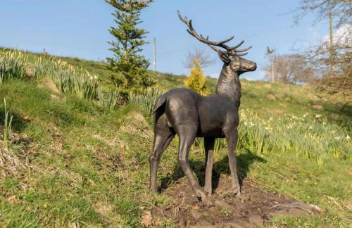 Cottage in Brookland Near Romney Marsh Beach - Photo 46