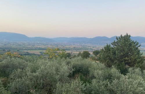 Agriturismo Casa Orsini - Foto 40