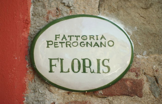 Fattoria Gambaro di Petrognano - Foto 56