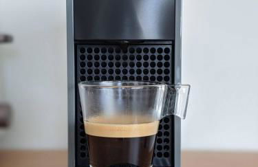 The Palm House - Foto 16