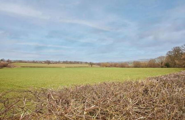 Host Stay Cwch Gwenyn - Photo 19