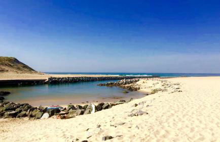 Appartement La Villa Gayrou - Foto 14