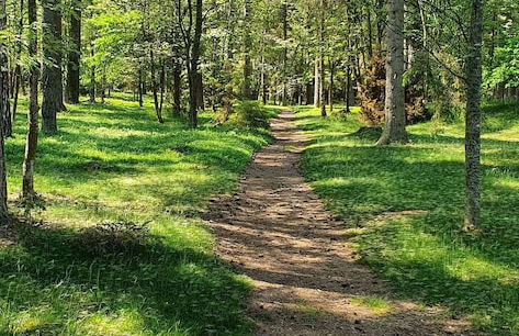 Well-equipped Beachside Cottage - Foto 30