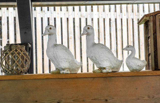 Troadkasten - Foto 14