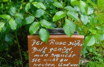 s'Heisl em Woid - Foto 26