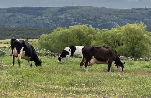 Casa rural Valtravieso - Photo 20