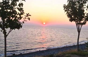 X2 Victory - Foto 10