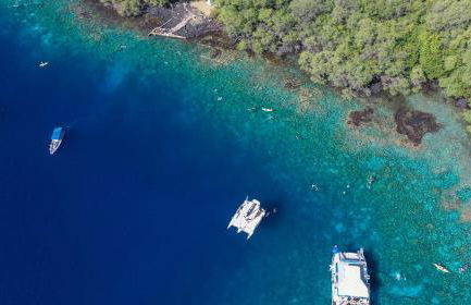 Stylized Captain's House - Foto 21