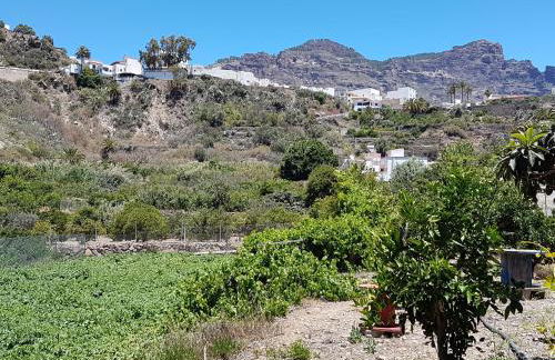 Casa Rural La Hoyita de Tunte - Foto 17