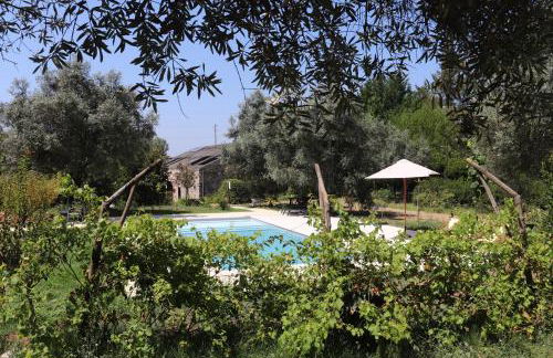 Acquavilla - Foto 14