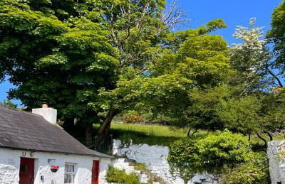 Secluded Traditional Cottage & Hot Tub - Tosses Cottage - Foto 8