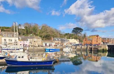 Shepherds haven hut Near Padstow - Foto 15
