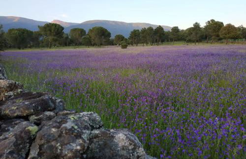 Edificio Reyes - Foto 4