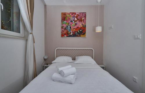 Aspidistra Shadow - Foto 14