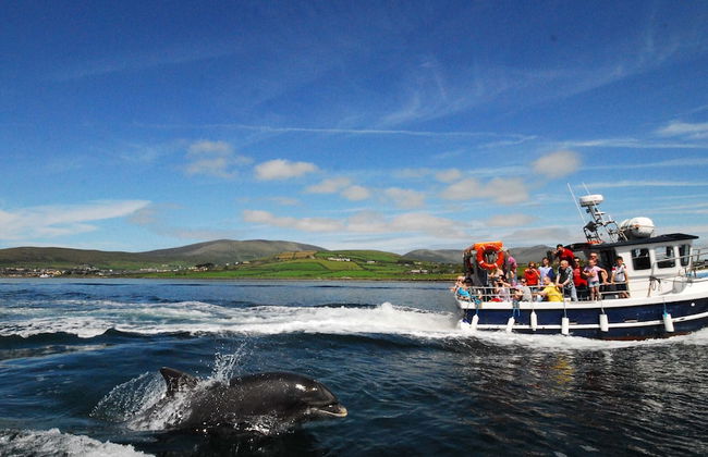 Dingle Courtyard Cottages - Foto 66