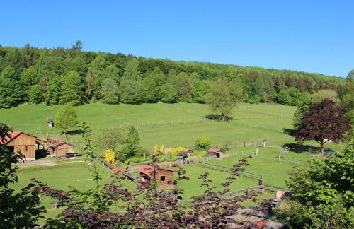 Ferienhaus Buren-Hof - Foto 40