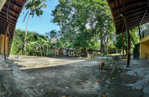 CD197 3D - Manaus Retreat - Pool and Balcony - Foto 67