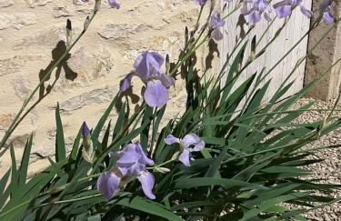 Le petit chez soi - my sweet home in Gevrey-Chambertin - Foto 11