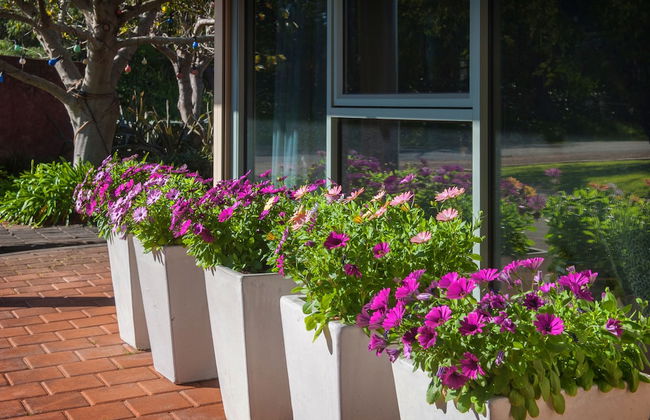 Bayshore Beachside Resort - Foto 2