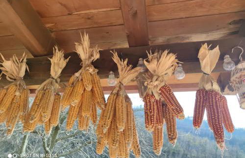 La Pezzuola 53 - Foto 52