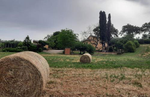 Agriturismo Il Truffarello TODI - Photo 27