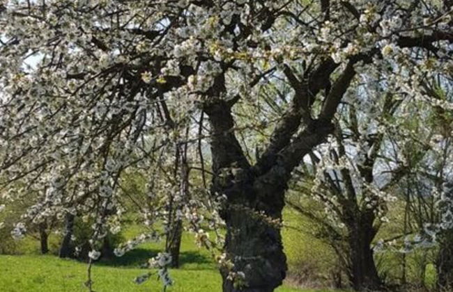 Lovely Apartment in Hesse - Foto 25