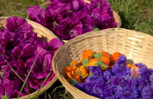 Agritur Agrihouse - Foto 25