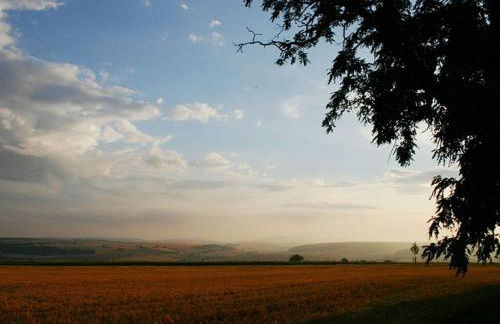 Am Turm Modern retreat - Foto 25