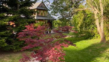 Datchas Lodges - Photo 4, Garden view