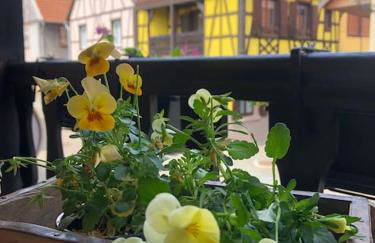 Gîte „La maison des épices“ - Foto 15