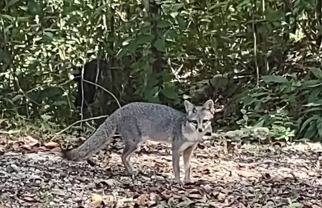 Santa Cruz Cabins - Foto 32