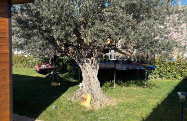 Dependance Con Giardino A Pescara - Foto 22