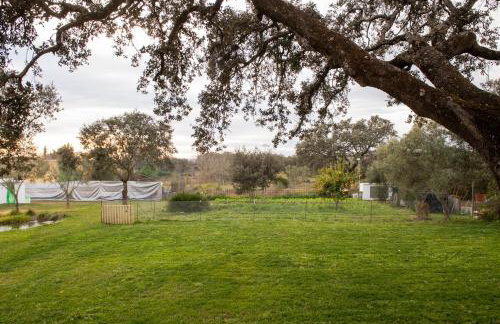 La Platea Rural - Foto 18