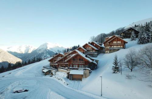 Chalet Le Yéti de Villard 14 Prs - Domaine Alpe d'Huez - Bain nordique - Foto 40