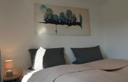 Großer Elefant - Foto 20