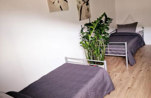 Holle - Land Holidays, parterre Ferienwohnung - Foto 32