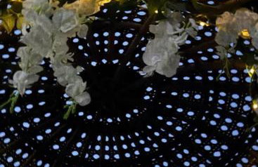 Lincoln Holiday Retreat Little House with private hot tub - Foto 3